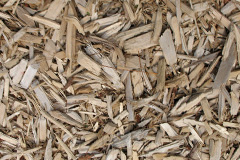 biomass boilers Haystoun